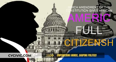 The Amendment that Granted African Americans Citizenship