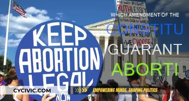 The Right to Abortion: Constitutional Amendments Explored