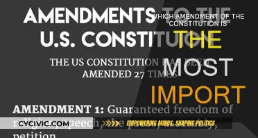 Amendments: The Foundation of Our Constitutional Rights
