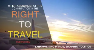 Travel Freedom: Constitutional Right to Move