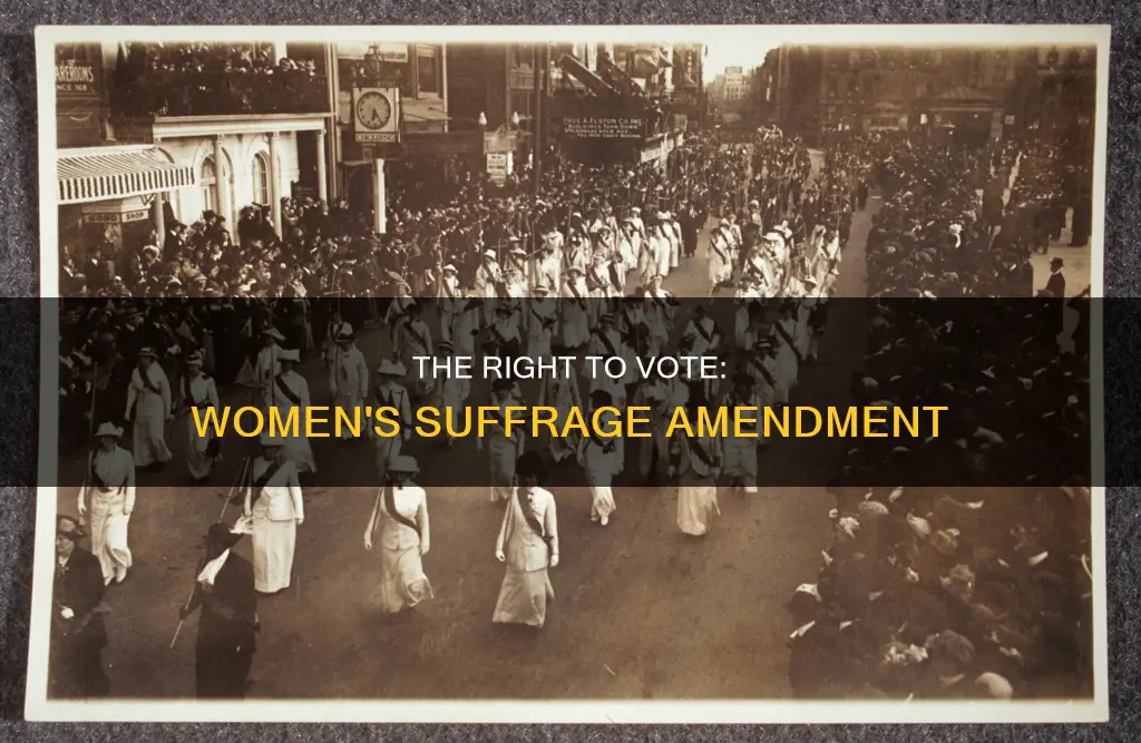 which amendment of the constitution is with women
