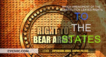 States' Rights: The 10th Amendment Explained