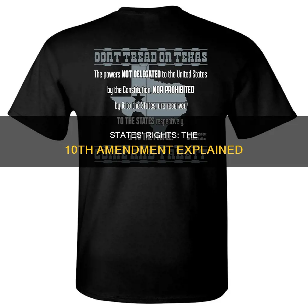 which amendment of the constitution leaves rights to the states