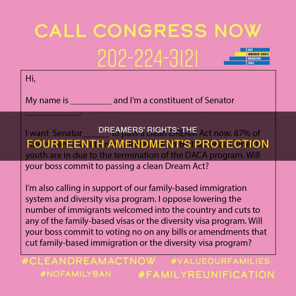 which amendment of the constitution protects dreamers