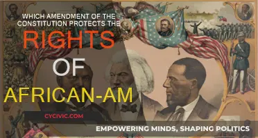 The Amendment that Changed African-American Rights
