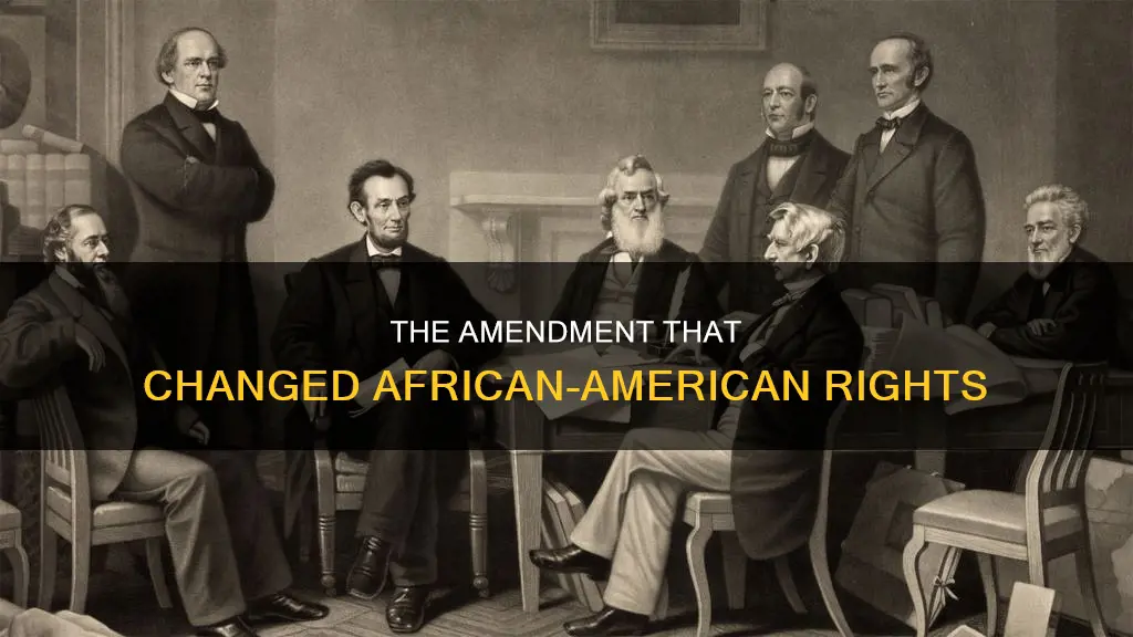 which amendment of the constitution protects the rights of african-americans