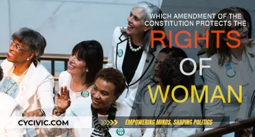 Women's Rights: Constitutional Amendments and Their Impact
