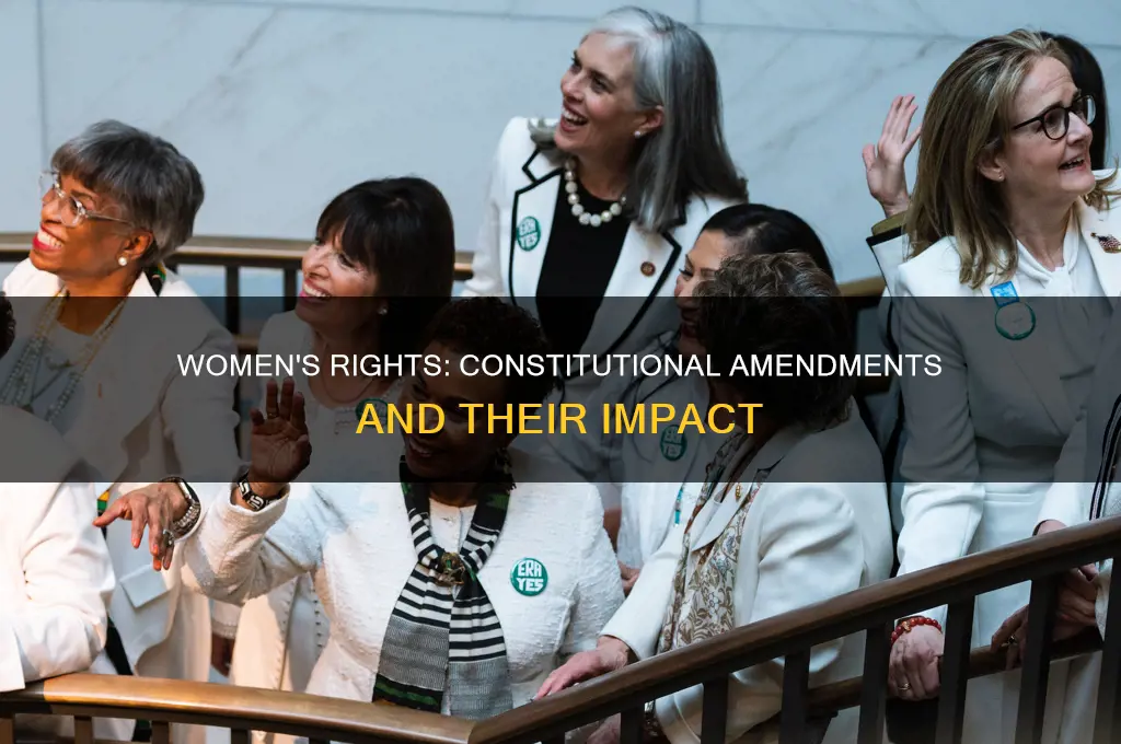 which amendment of the constitution protects the rights of woman