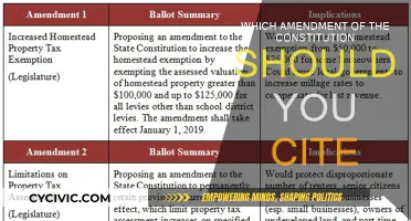 Amendments: Your Rights and Freedoms