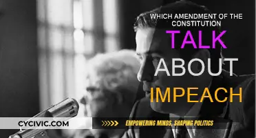 Impeachment Clause: The Constitution's Ultimate Safety Net