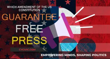 The Freedom of the Press: A Constitutional Guarantee
