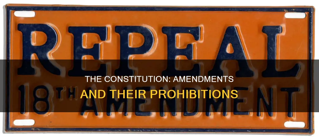 which amendment prohibits the us constitution