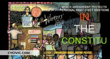 The Ninth Amendment: Protecting Our Unmentioned Personal Rights