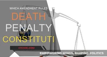 Death Penalty: Constitutional Amendments Explained