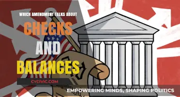 Checks and Balances: The Amendment's Power Play