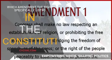 Amendments: Our Rights, Our Constitution