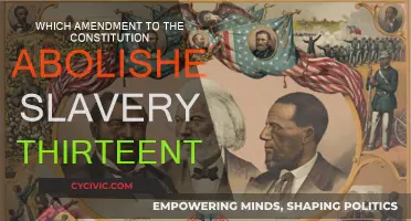 Constitution's Thirteenth Amendment: Abolishing Slavery in America