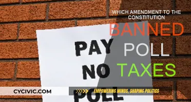 Poll Taxes: Banned by the 24th Amendment