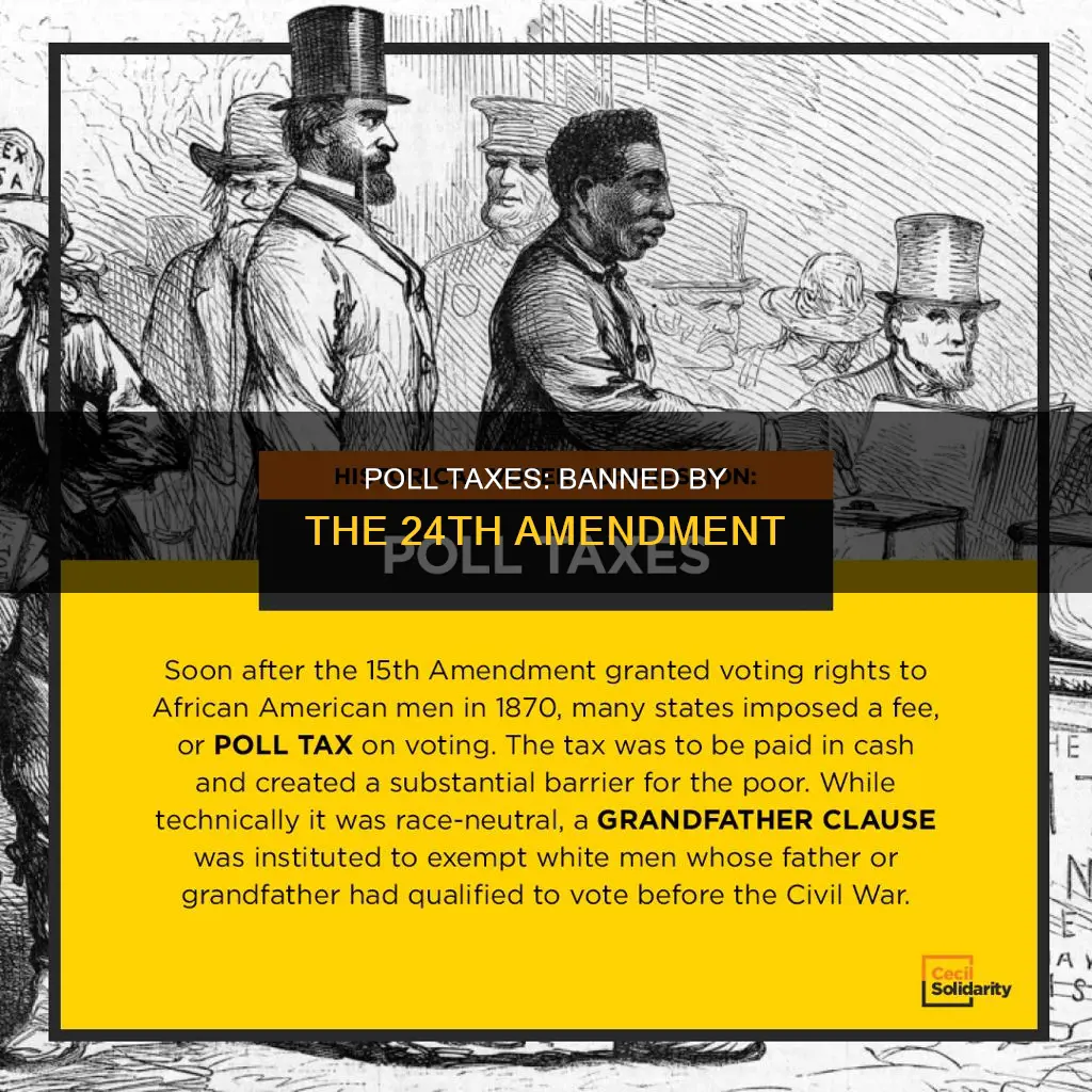 which amendment to the constitution banned poll taxes