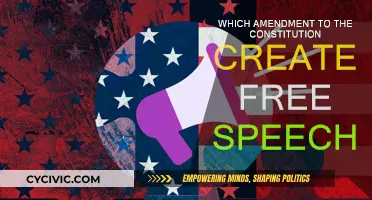 The First Amendment: Our Right to Free Speech