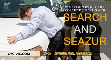 Understanding Search and Seizure Constitutional Amendments