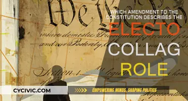 Understanding the Electoral College's Constitutional Amendment