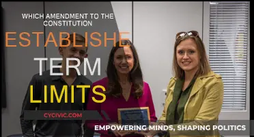 Term Limits: Constitutional Amendment Explained