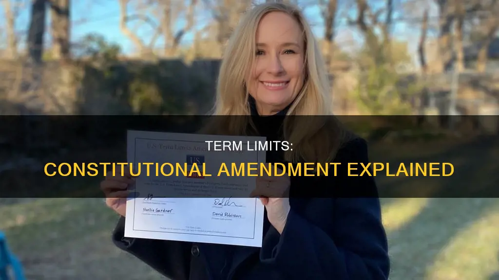 which amendment to the constitution established term limits