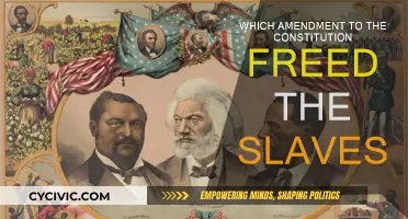 The Emancipation Proclamation: 13th Amendment to the US Constitution