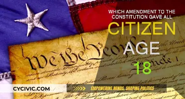 Right to Vote: The 26th Amendment Impact