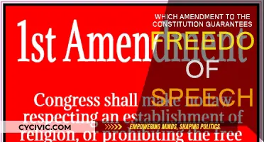 The First Amendment: Our Right to Free Speech