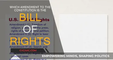 The Bill of Rights: Constitutional Amendments Explained