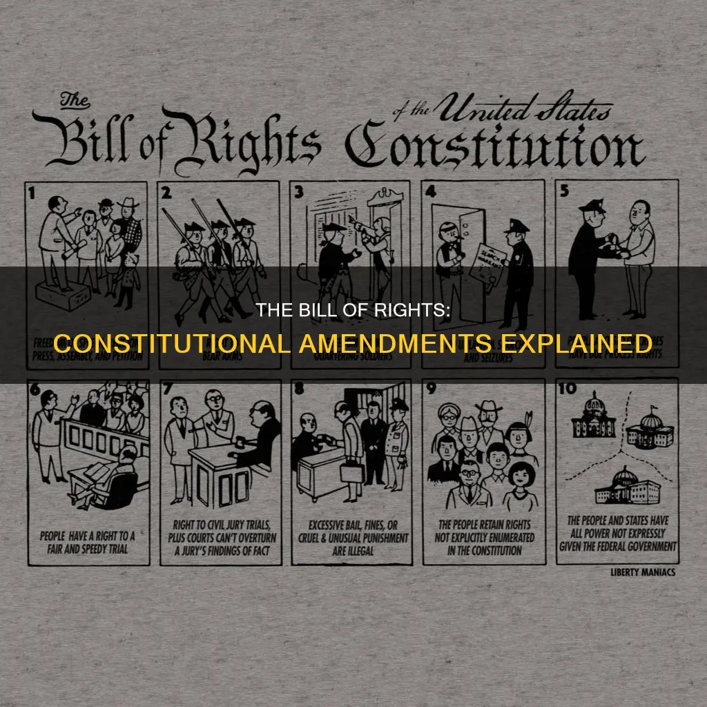 which amendment to the constitution is the bill of rights