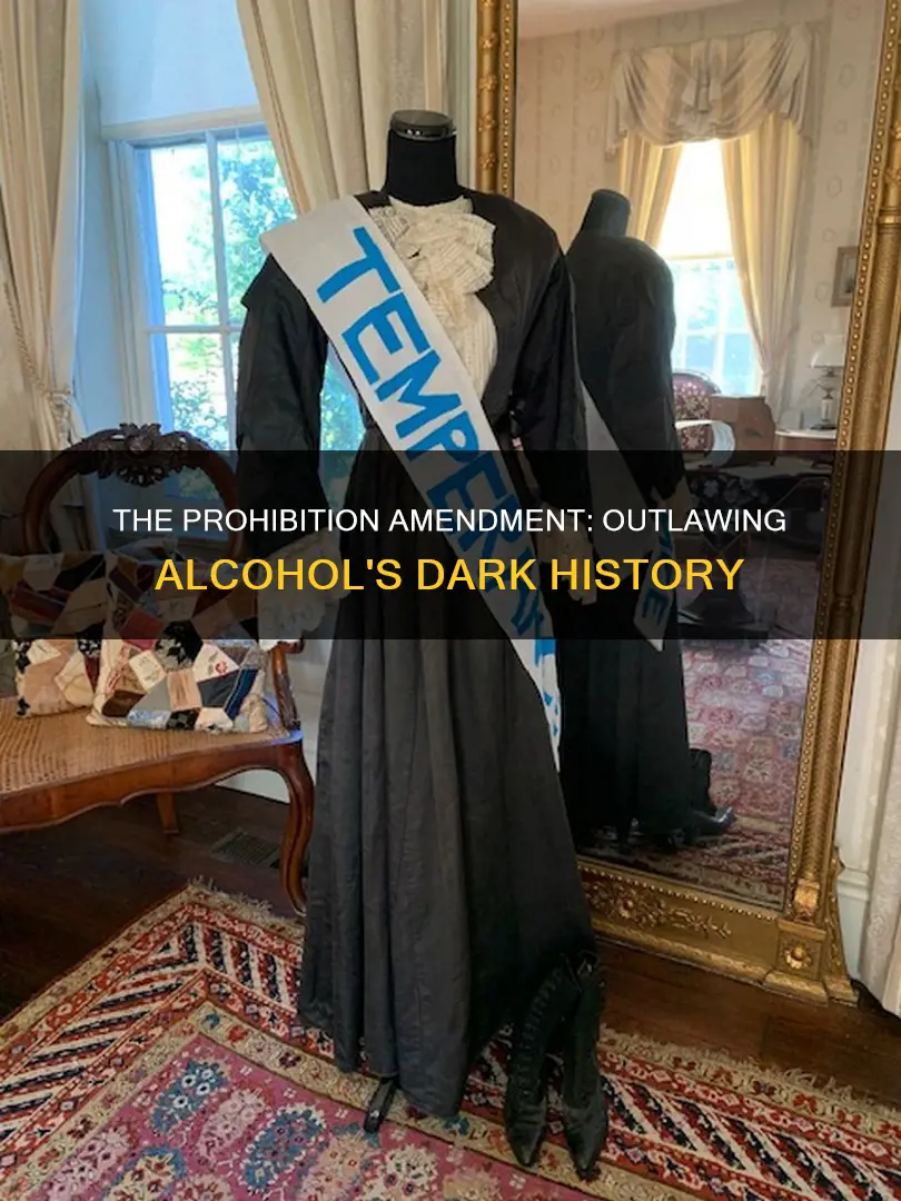 which amendment to the constitution made alcohol illegal