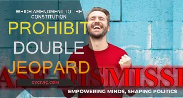 The Constitution's Double Jeopardy Protection Amendment