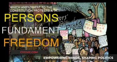 The Constitution's Amendment: Our Fundamental Freedoms' Safeguard