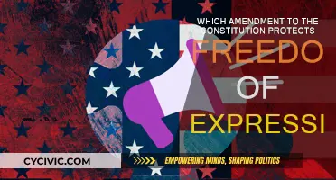 Freedom of Expression: The Constitution's Ultimate Safeguard