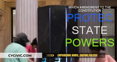 The States' Rights Amendment: Protecting State Powers