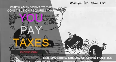 The Amendment: Paying Taxes is Necessary
