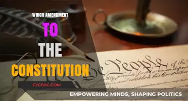 Amendments: Our Constitution's Living Legacy