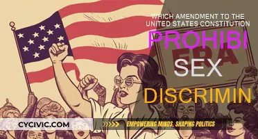 The US Constitution's Sex Discrimination Ban