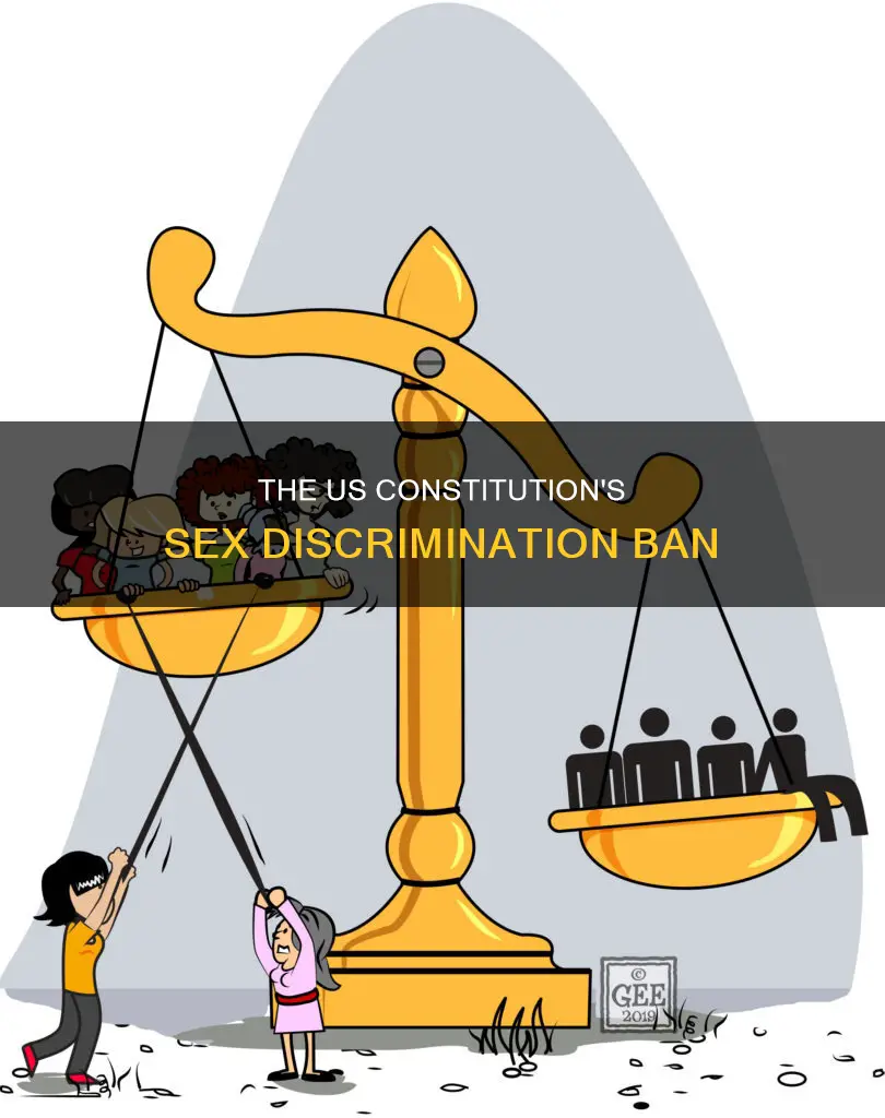 which amendment to the united states constitution prohibits sex discrimination
