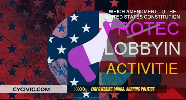The First Amendment: Protecting Lobbying as Free Speech