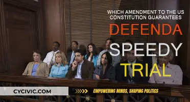 Speedy Trial: The Sixth Amendment Right