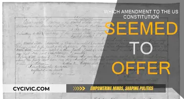 The Constitution's Promise: Freedom and Rights