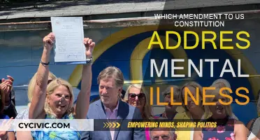 Mental Illness and the US Constitution Amendment