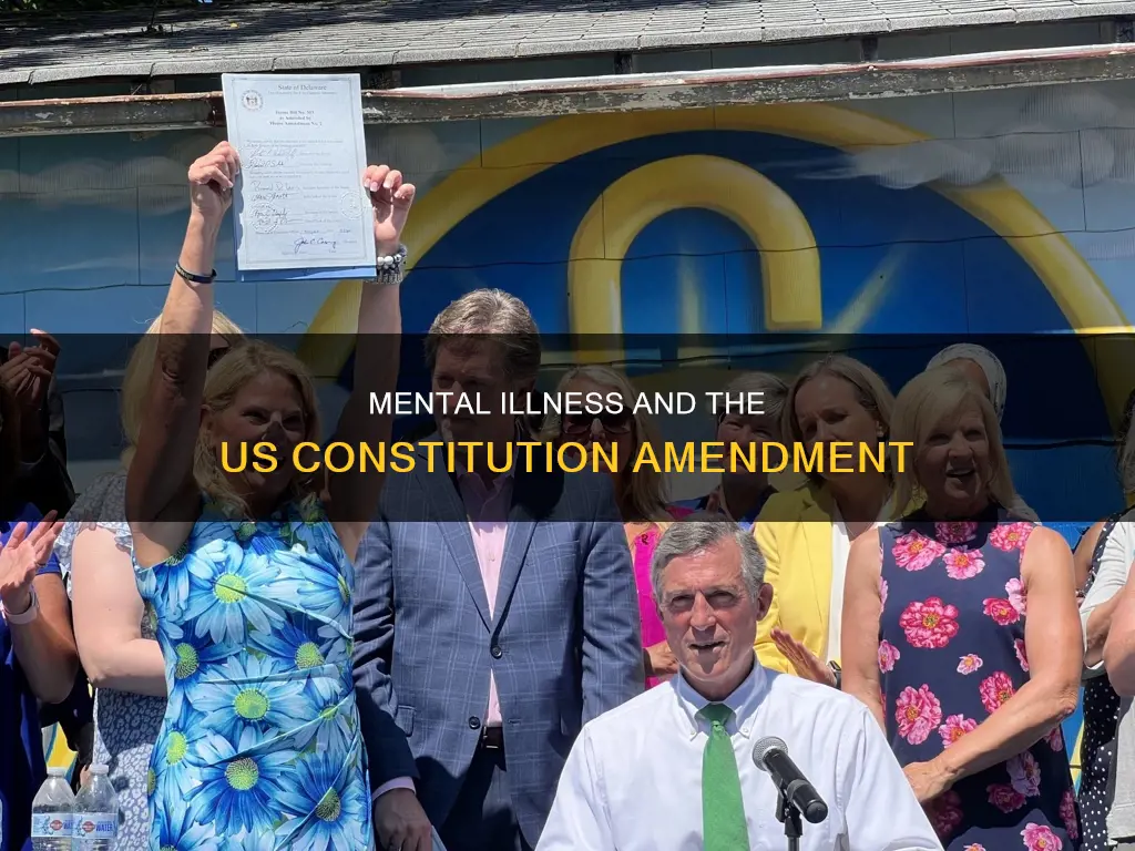 which amendment to us constitution addresses mental illness