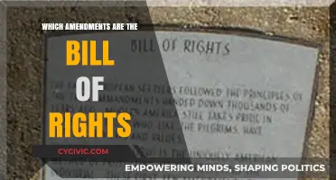 The Bill of Rights: Amendments Defining Our Freedoms