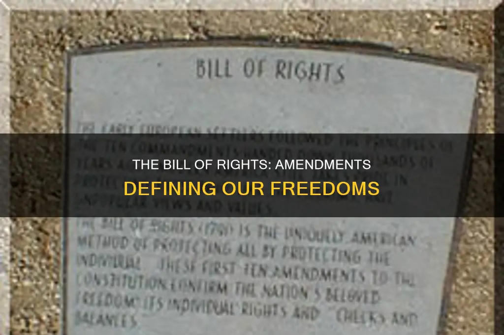 which amendments are the bill of rights