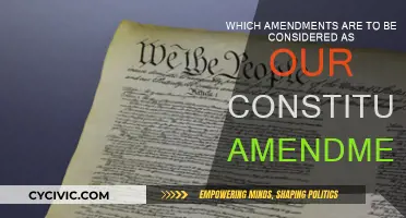 Our Constitutional Amendments: Understanding the Changes